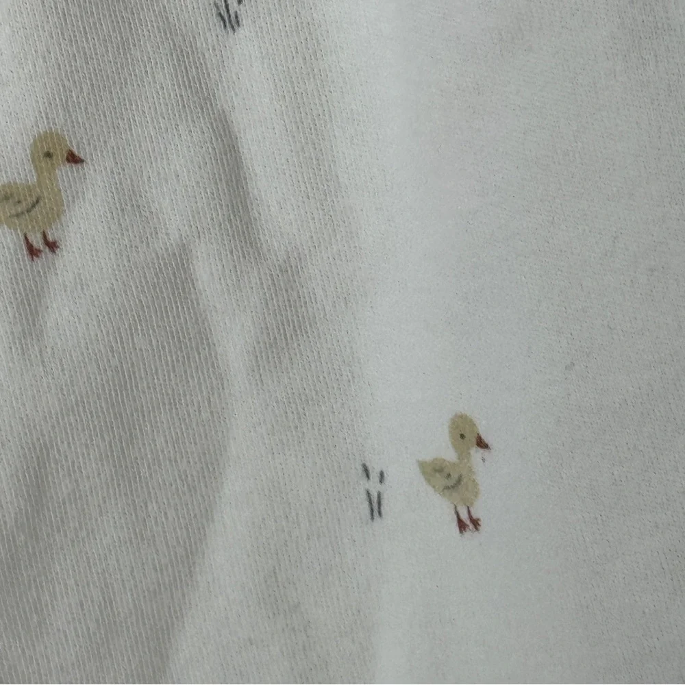 Quincy Mae Flutter dress ducks print lace baby girl beige neutral chicks ruffle